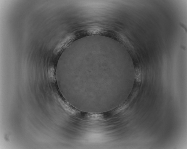 X0000102820670200808251112