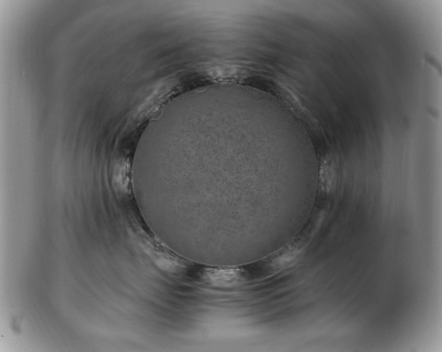 X0000102820671200808251112