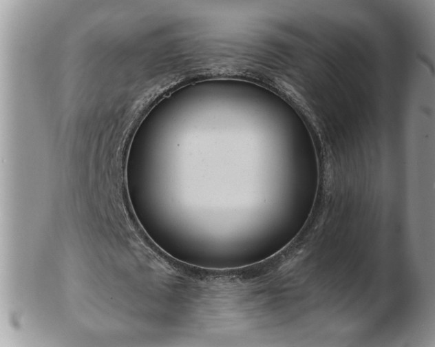 X0000102820673200808251111