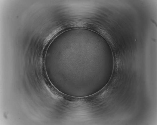 X0000102820674200808251111