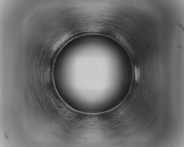 X0000102820675200808251111