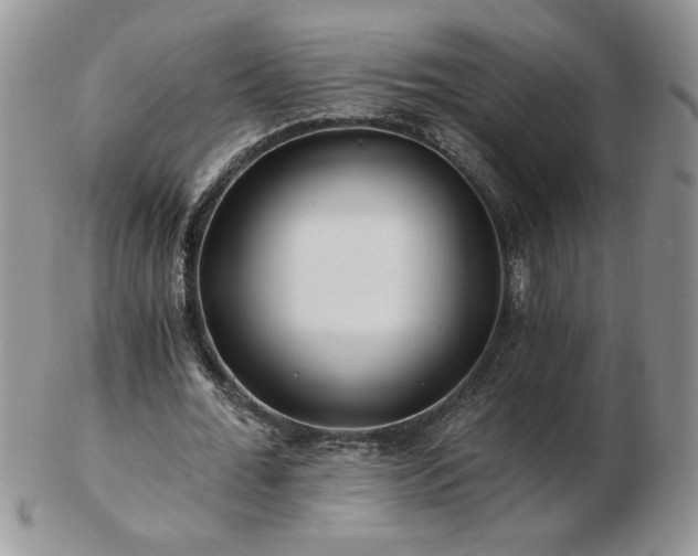 X0000102820676200808251111