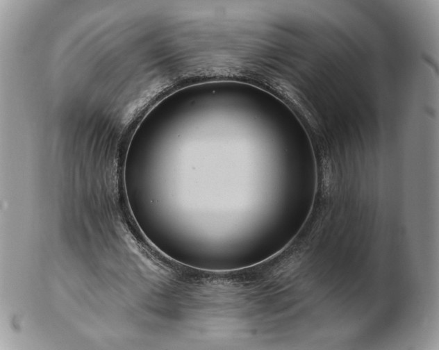 X0000102820677200808251111