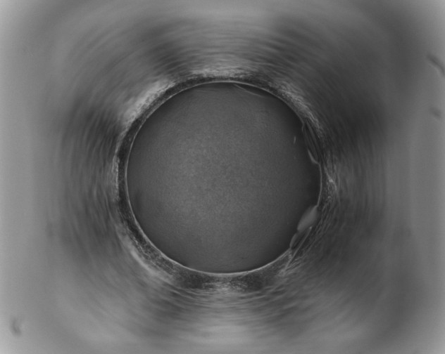 X0000102820678200808251111
