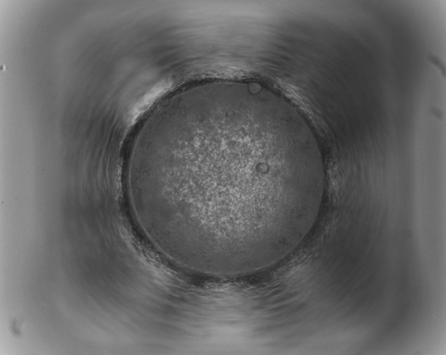 X0000102820679200808251111