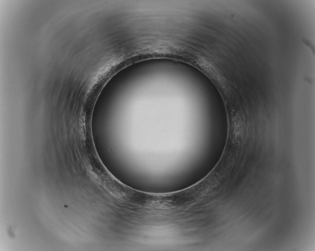 X0000102820680200808251111