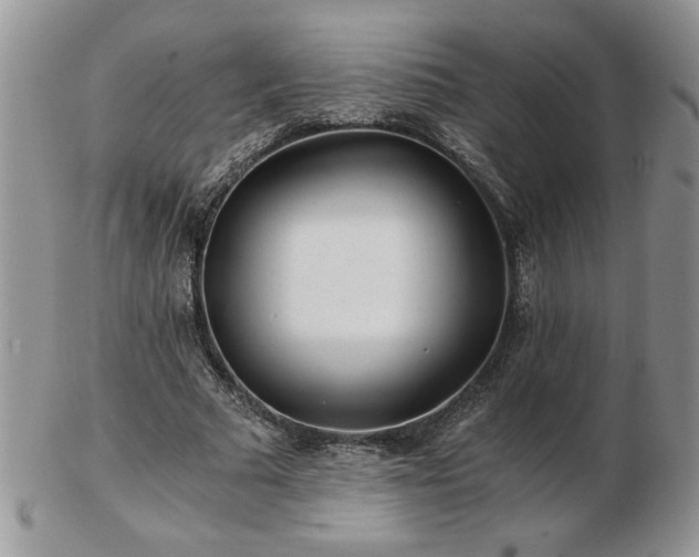 X0000102820681200808251111