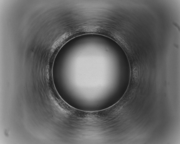X0000102820682200808251111
