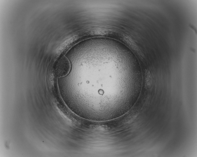 X0000102820683200808251111