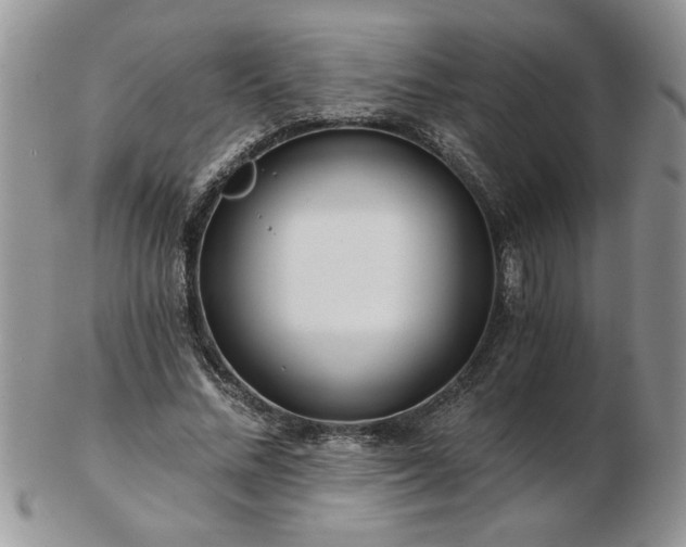 X0000102820684200808251111