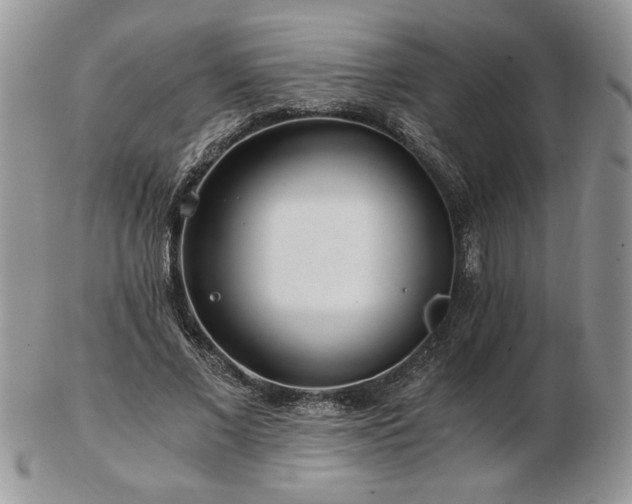 X0000102820685200808251111