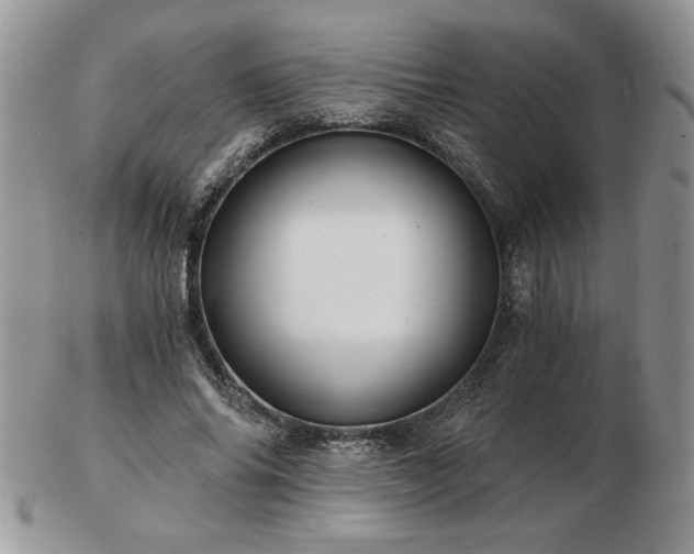 X0000102820686200808251111