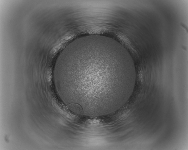 X0000102820687200808251111