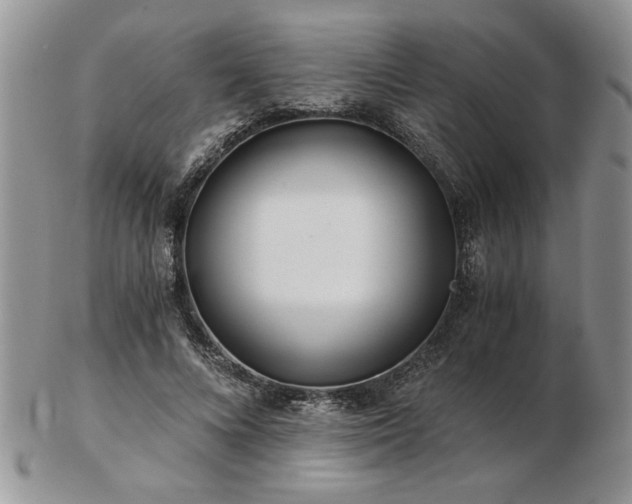 X0000102820688200808251111