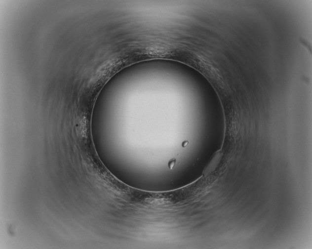 X0000102820689200808251111