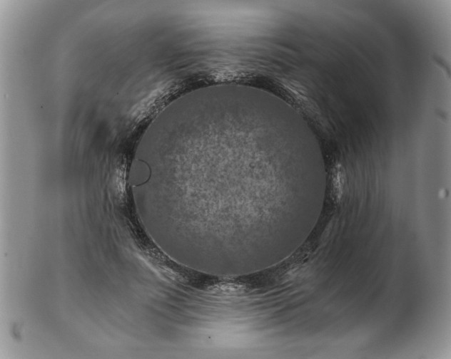 X0000102820691200808251111