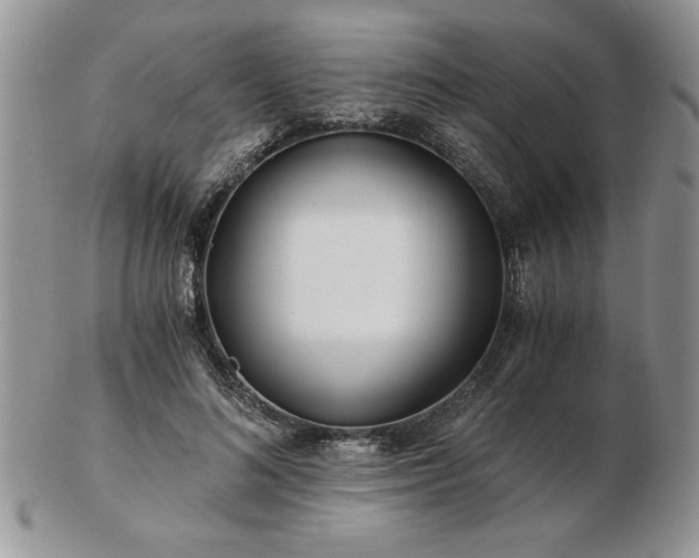 X0000102820692200808251111