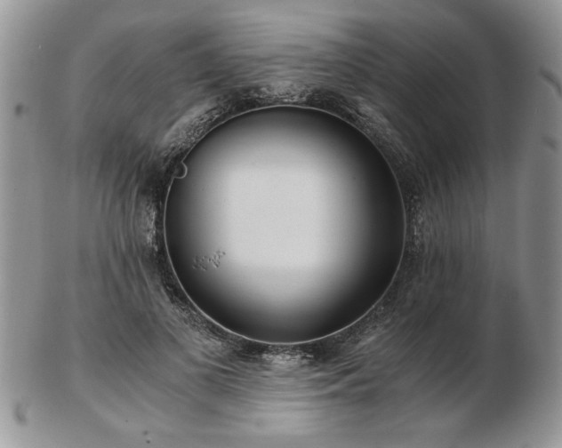 X0000102820693200808251111