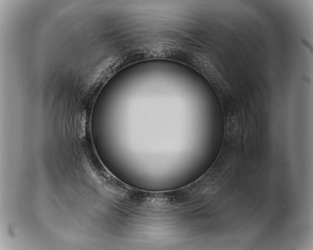 X0000102820694200808251111
