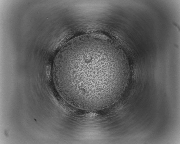 X0000102820695200808251111