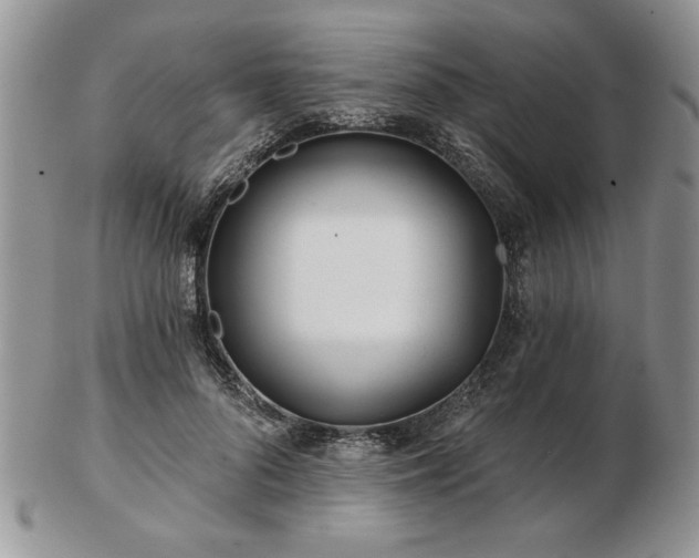 X0000102820696200808251111