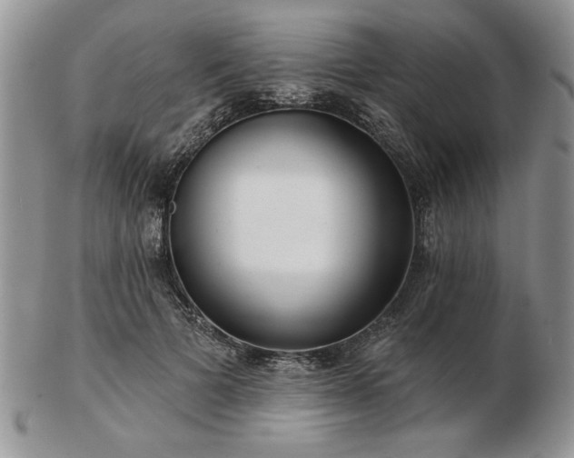 X0000102820697200808251111