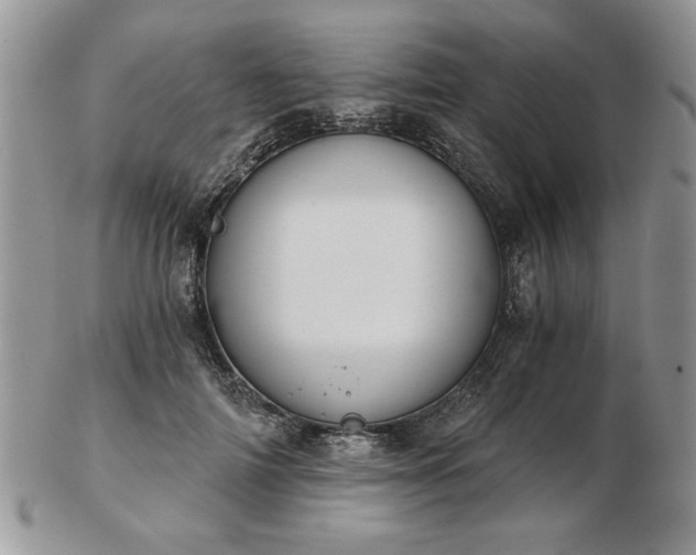 X0000102820698200808251111