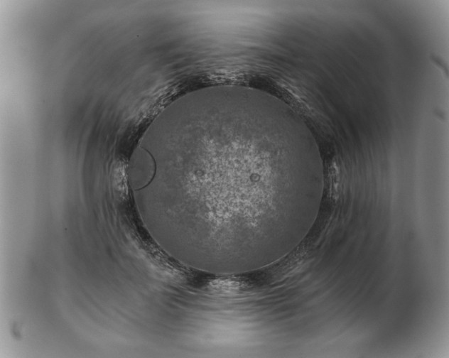 X0000102820699200808251111