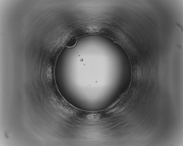 X0000102820700200808251111