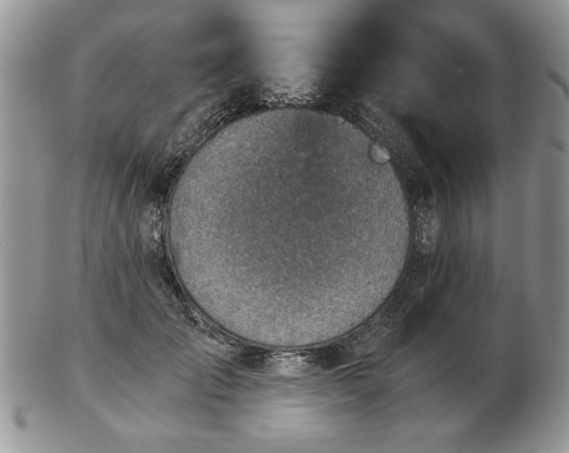 X0000102820701200808251111