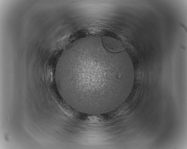 X0000102820703200808251111