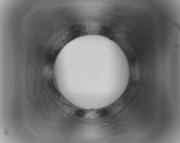 X0000102820705200808251111