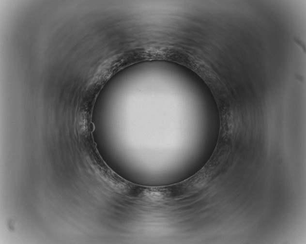 X0000102820706200808251111
