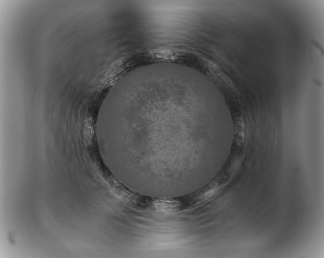 X0000102820707200808251111