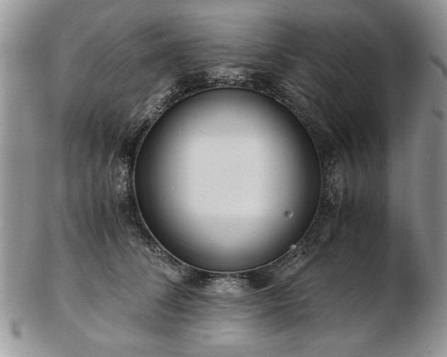 X0000102820708200808251111