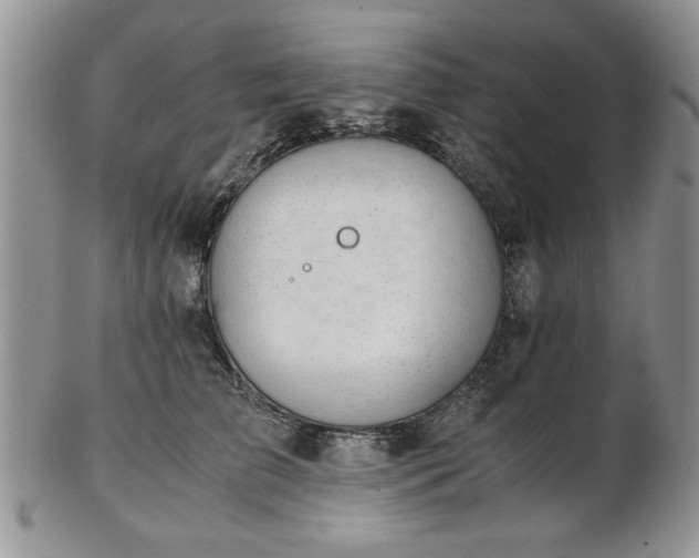 X0000102820709200808251111