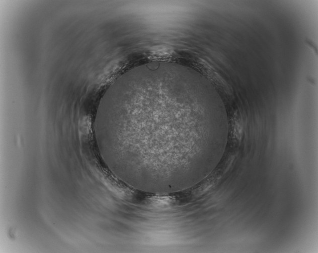 X0000102820711200808251111