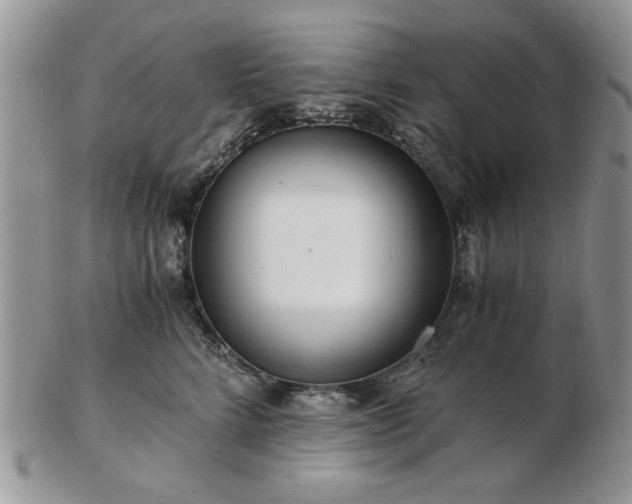 X0000102820712200808251111