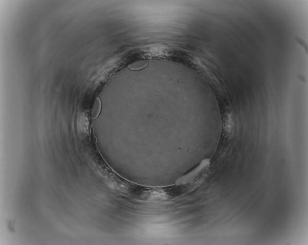 X0000102820715200808251111