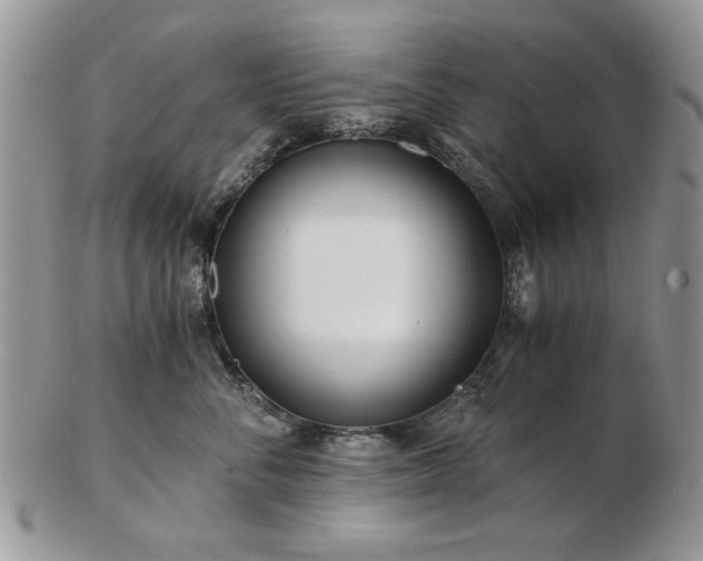 X0000102820716200808251111