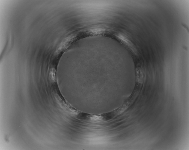 X0000102820718200808251111