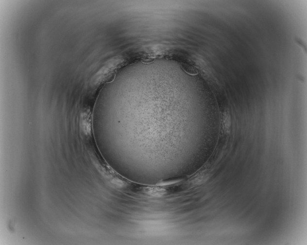 X0000102820719200808251111