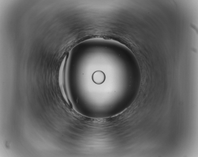 X0000102820720200808251111