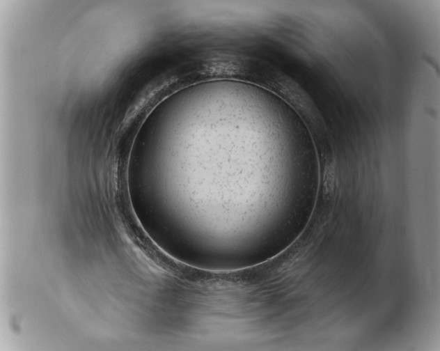 X0000102820722200808251110