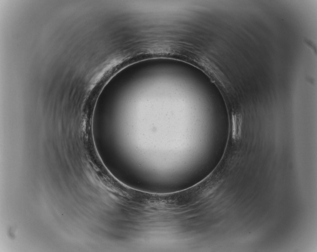 X0000102820723200808251110