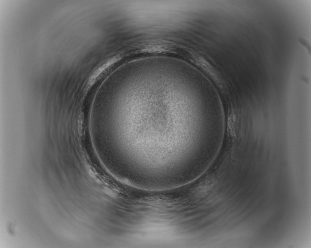 X0000102820724200808251110