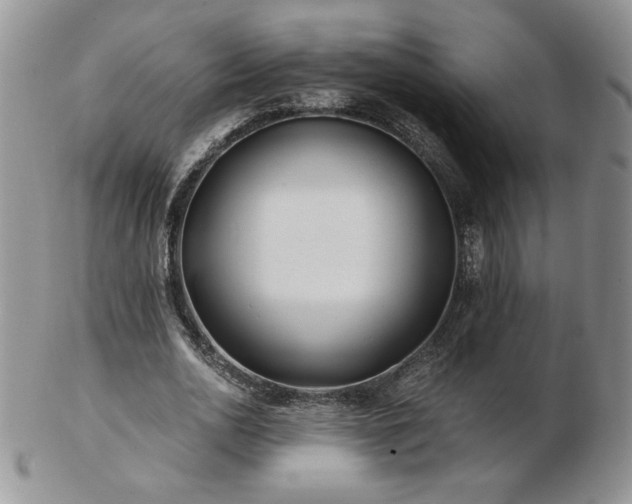 X0000102820726200808251110