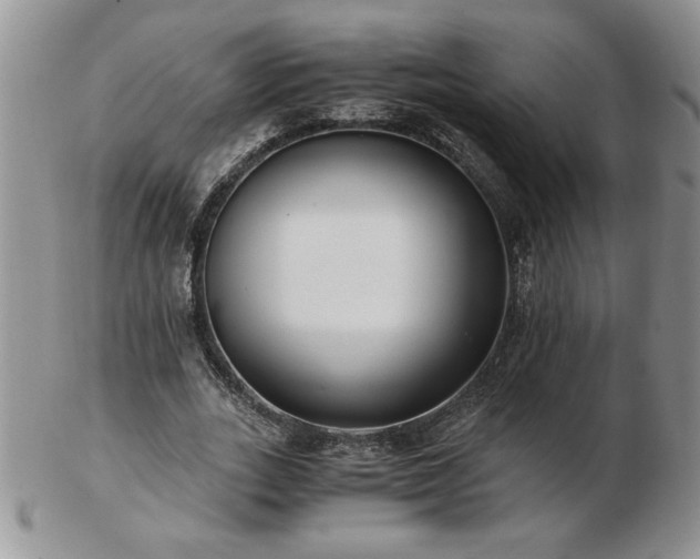 X0000102820727200808251110