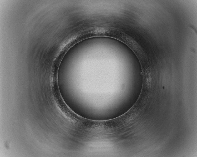 X0000102820728200808251110