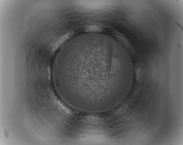 X0000102820729200808251110
